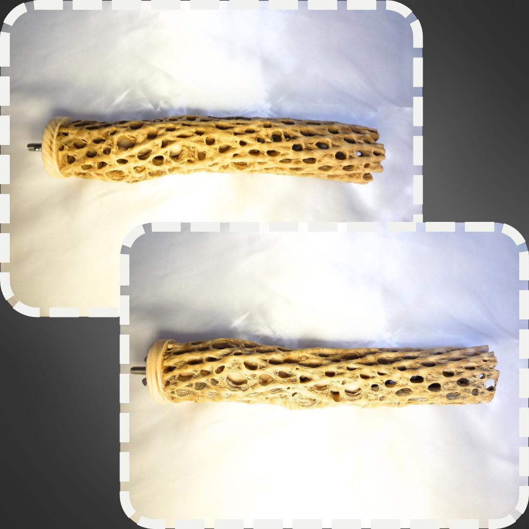 リバティ☆さま専用カクタス　パーチ　特注品