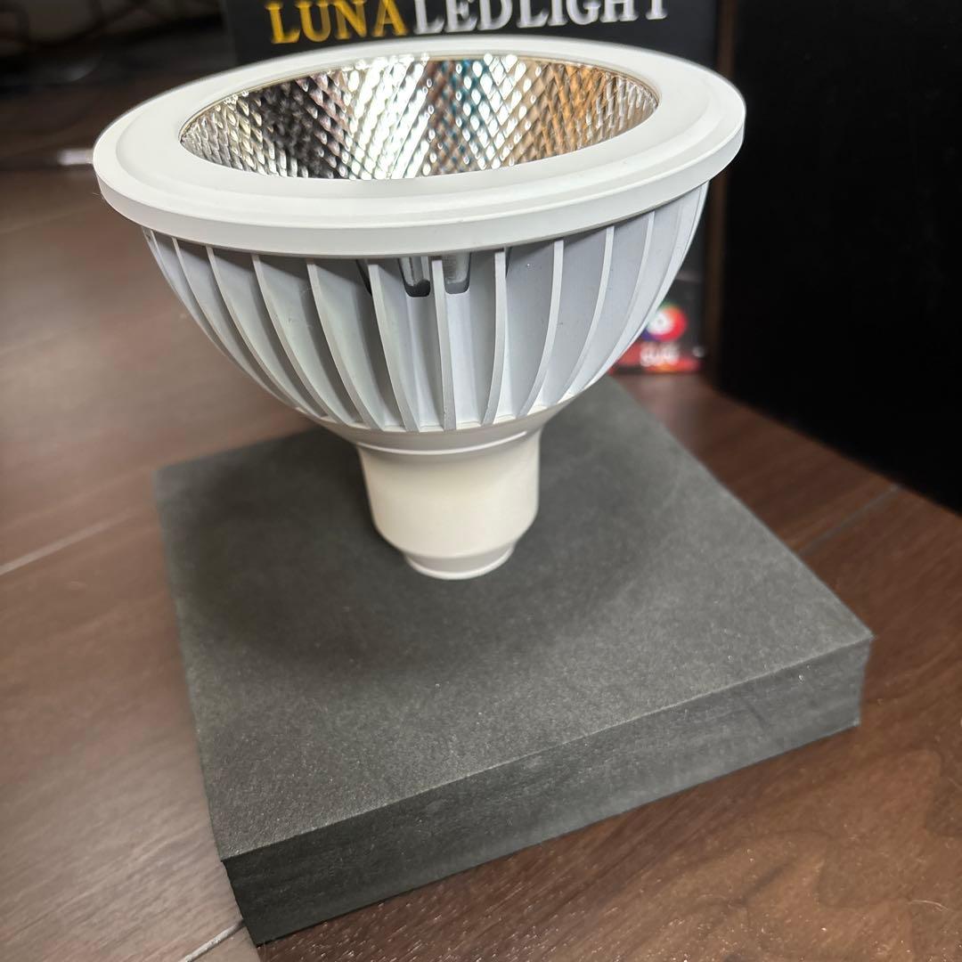 TSUKUYOMI LED 20W E26口金
