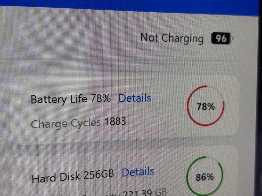 iPad Pro (第2世代) 11インチ 256GB Cellular