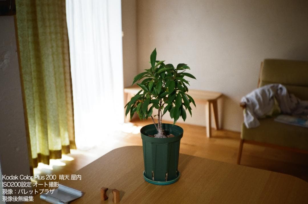 Konica C35 flash matic グリーン【整備済完動品】