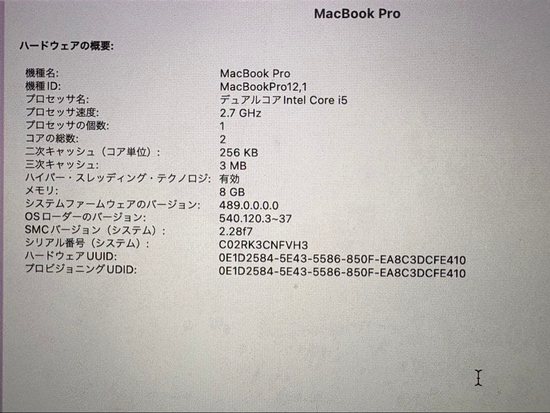 MacBook本体 APPLE MacBook Pro Early 2015 13inch