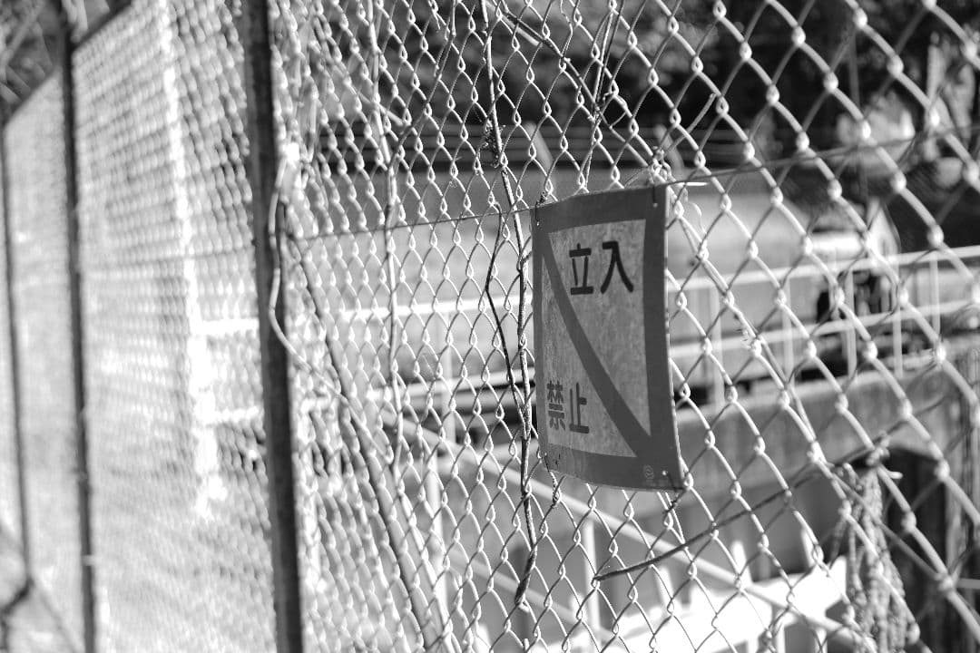 Leica Summicron  50mm F2 3rd やや難あり