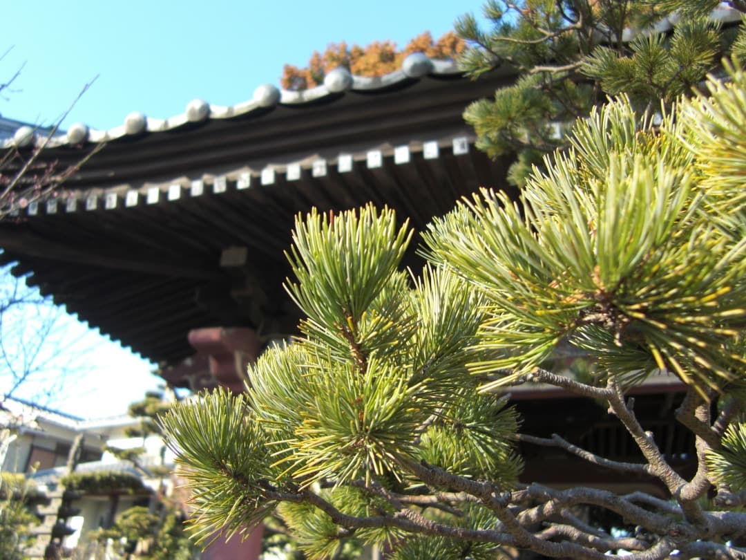 実写美⭕️外観美【動作確認済】CASIO EXILIM EX-Z100 シルバー