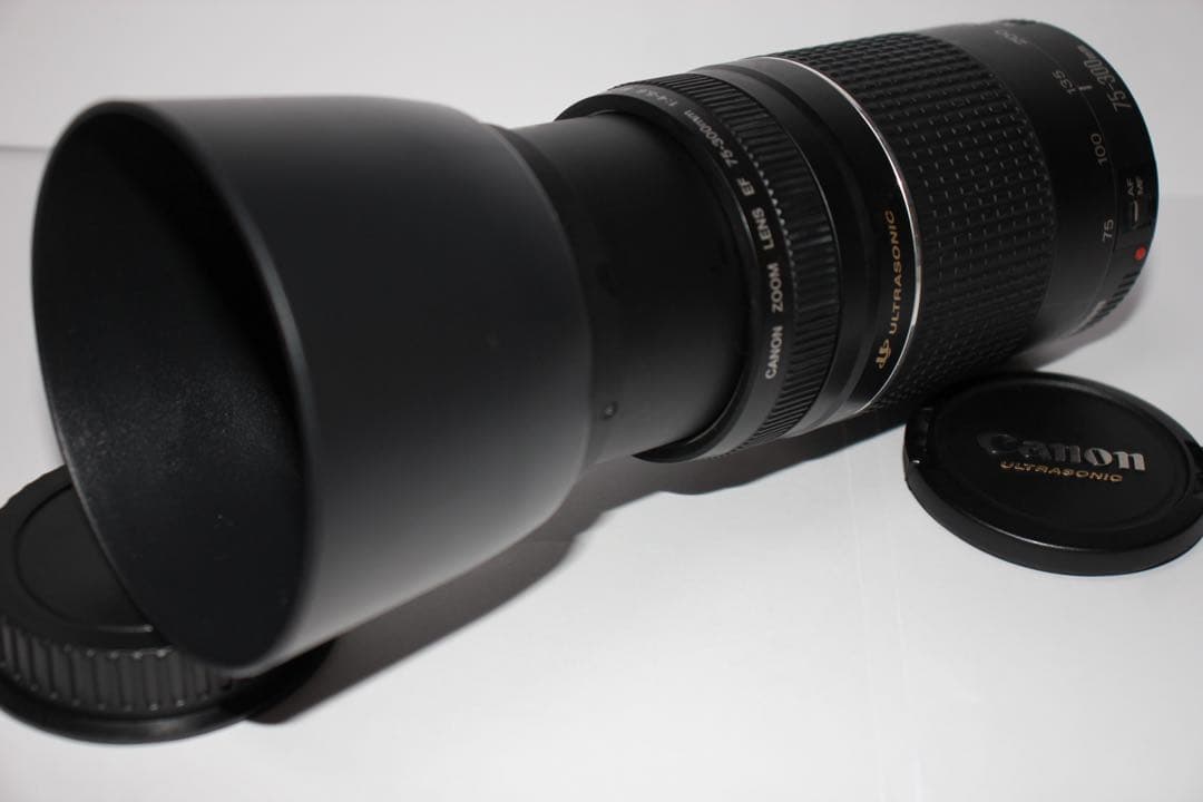 超望遠レンズ☆デジタル一眼レフカメラ☆Canon EF75-300㎜I USM