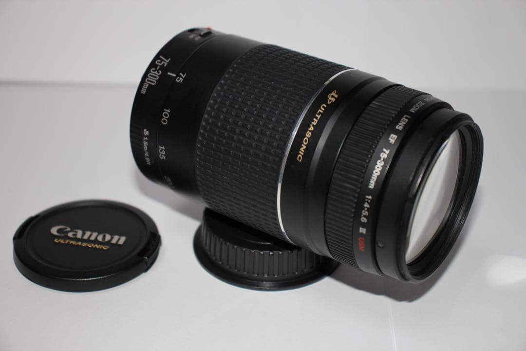 超望遠レンズ☆デジタル一眼レフカメラ☆Canon EF75-300㎜I USM