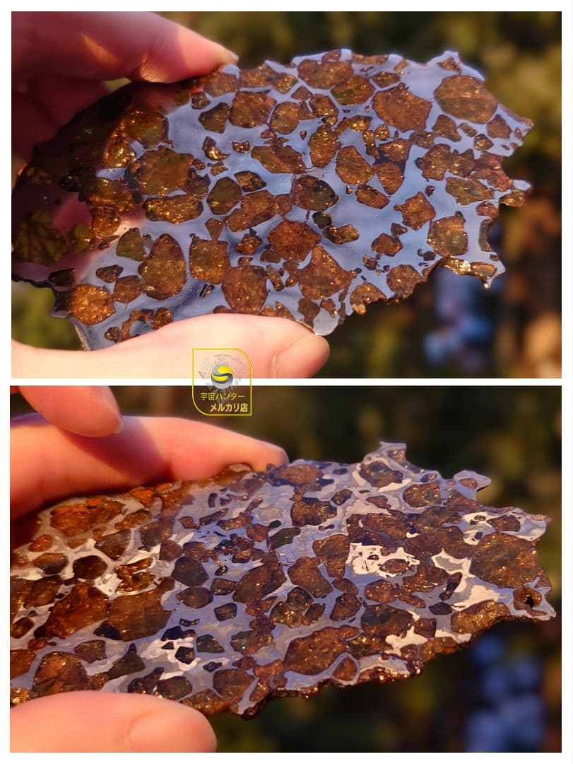 ✨イミラック パラサイト 隕石 70g ⭐⭐