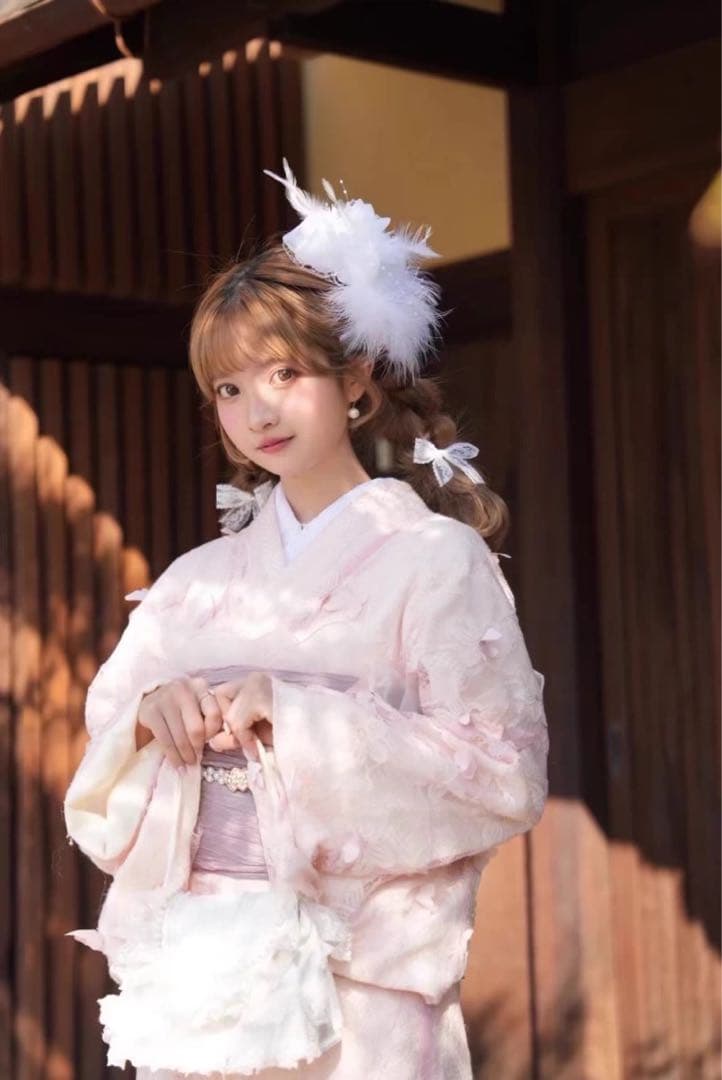 蝶柄 レース着物 ピンク 和洋ミックス 小紋 バッグおまけ付き