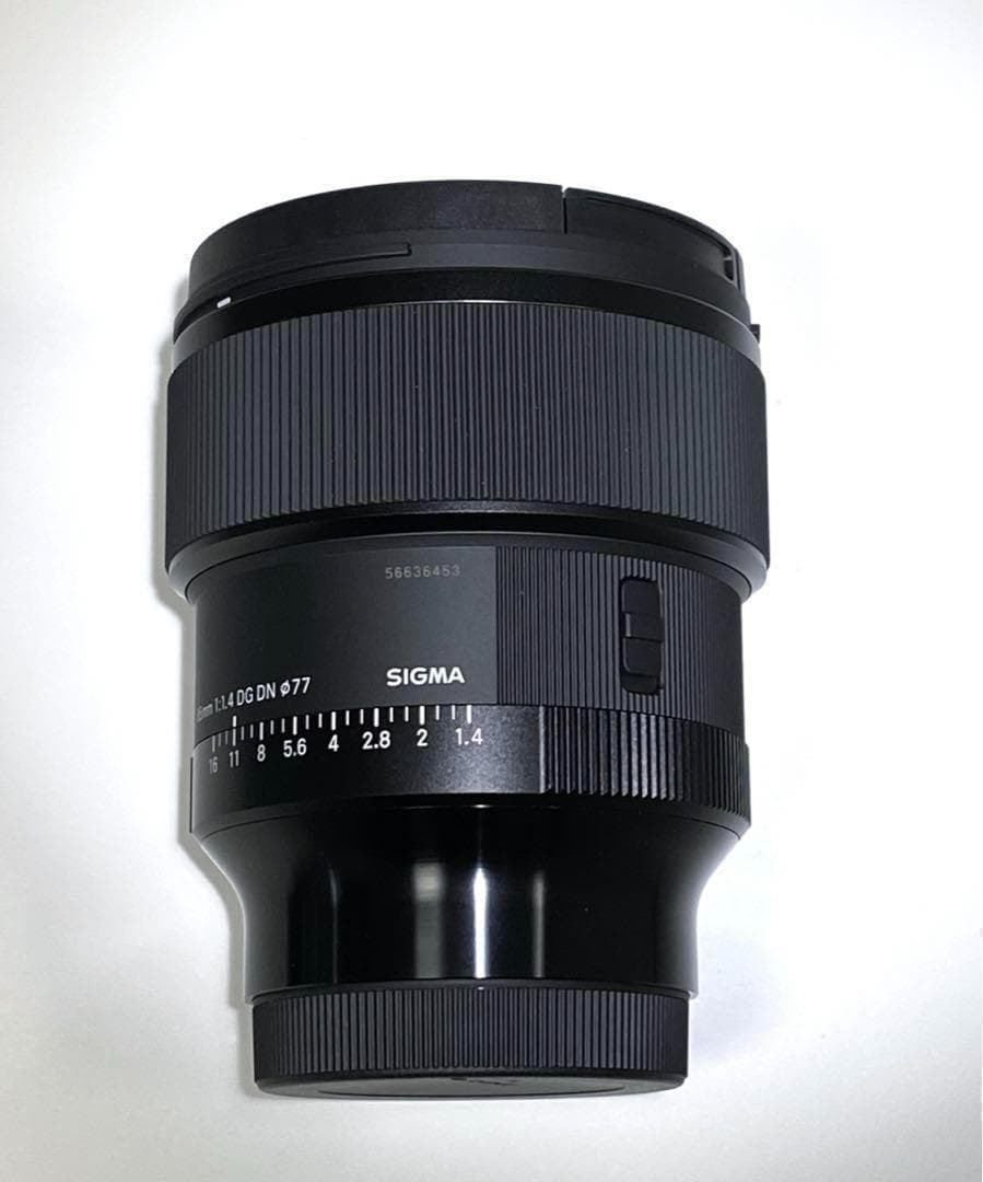 専用出品、２４時間以内。