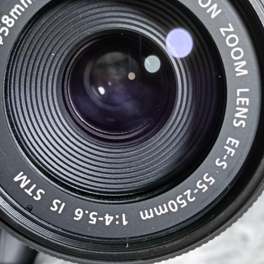 Canon EF-S55-250mm F4-5.6 IS STM 望遠レンズ