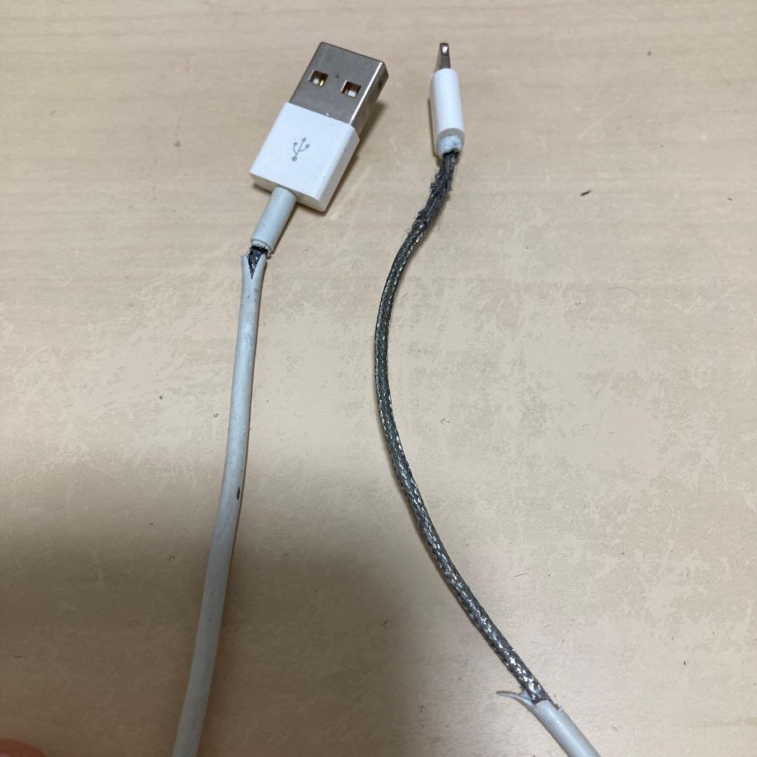 iPad本体 iPad Air 2 128GB WiFi+Cellular