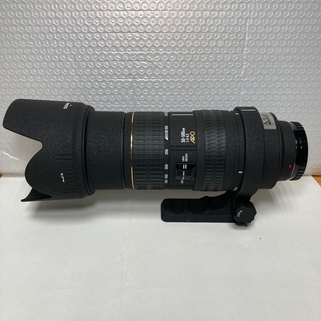 SIGMA APO 50-500mm F4-6.3 EX SONY用