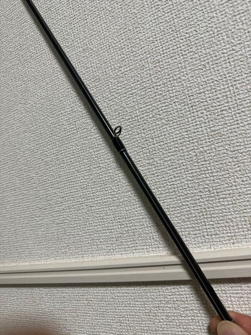 ゼスタ　ブラックスターセカンドジェネレーション　S83 ディスタンススケープ