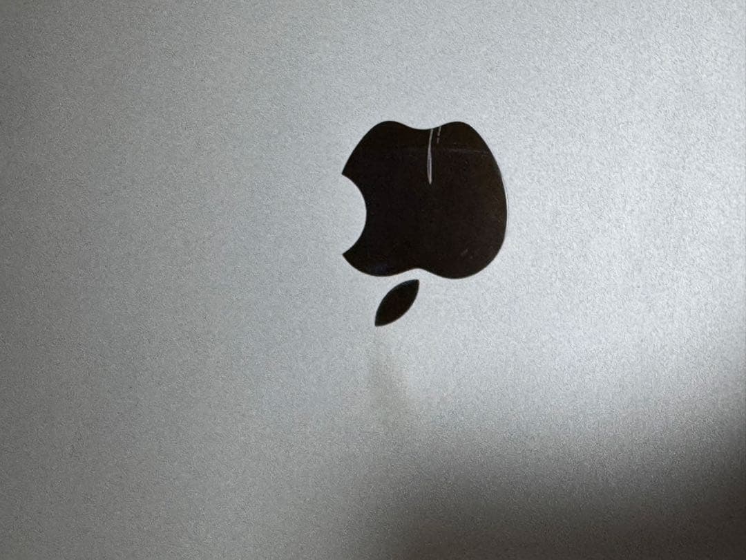 て*꒱様 AppleiPad Pro 12.9第5世代 本体128GBシルバー