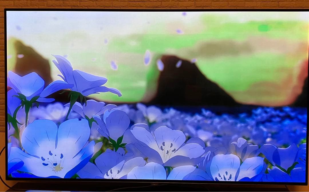 【milk2626様ご依頼分】4K有機EL55型テレビ LG OLED55B6P