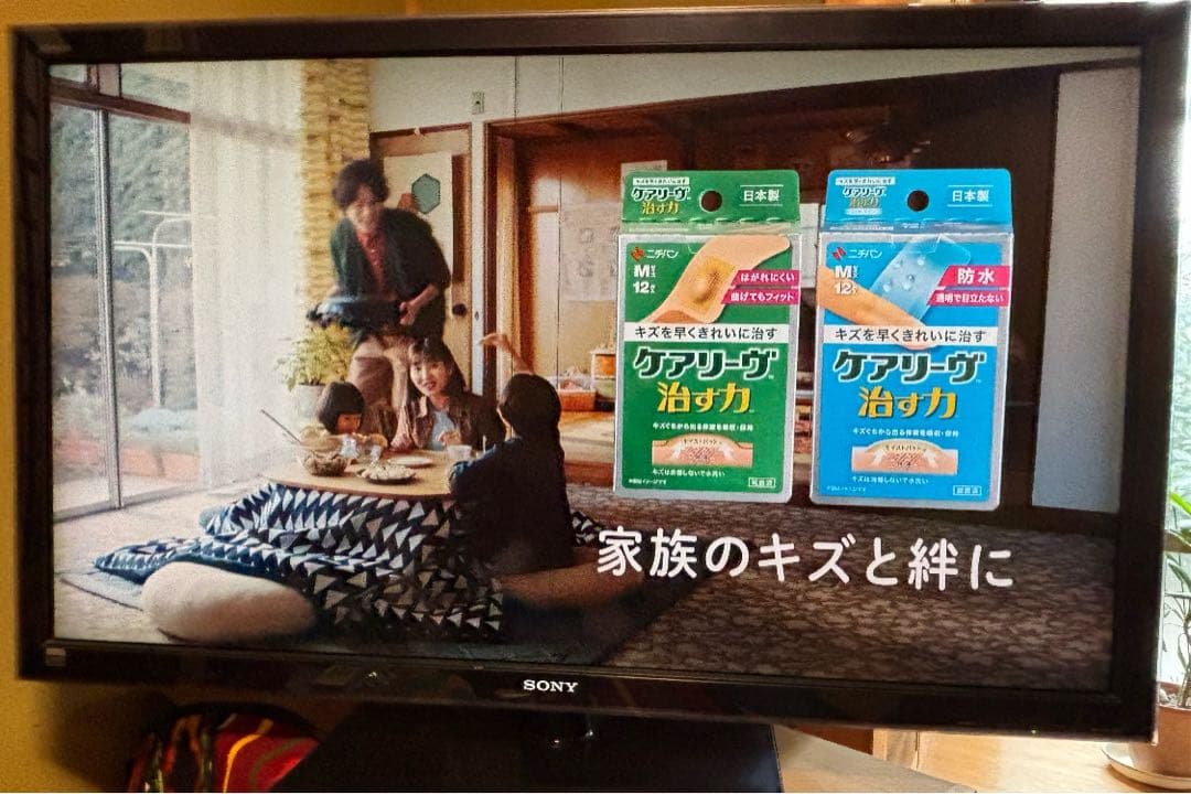 SONY BRAVIA 52型 液晶テレビ 画面に縦の線あり