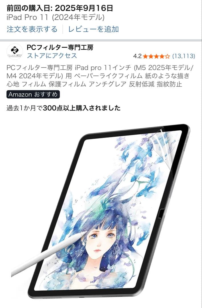 iPad Pro M4 11インチ 256GB Apple pencil Pro