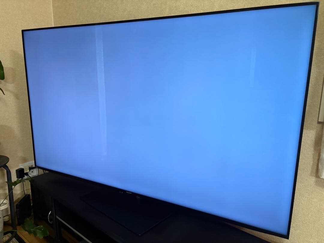 テレビ SHARP AQUOS 4K 65V 4T-C65EU1