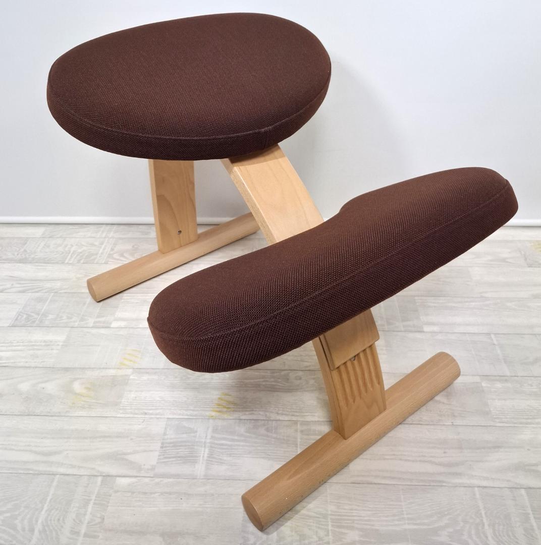 美品！★サカモトハウス★バランスチェア バランスイージー★専用カバー付★リボ社