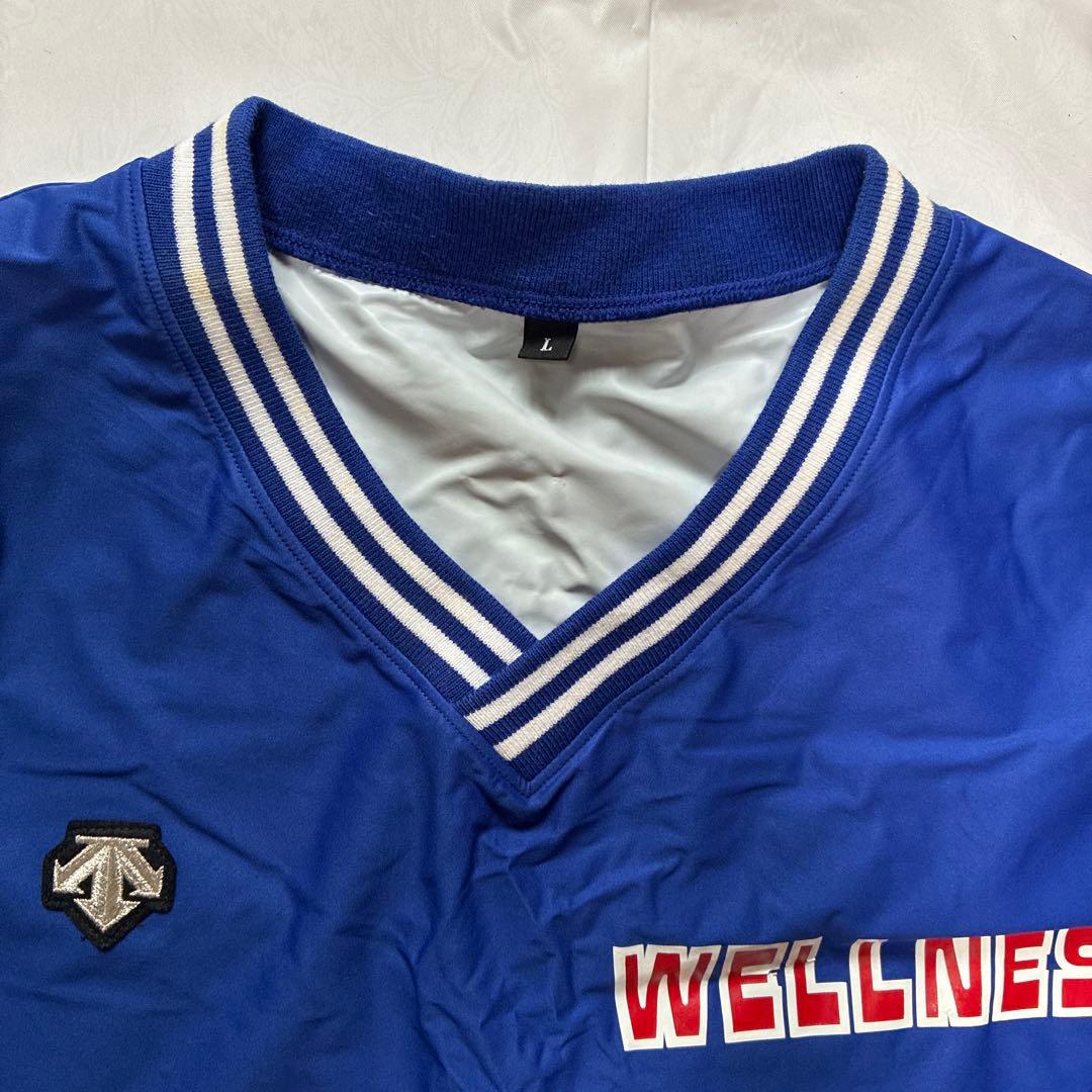 デサント　ウィンドブレーカー　日本ウェルネススポーツ大学　Lサイズ　ISHII入