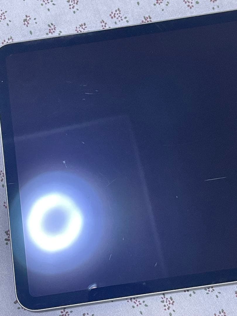 iPad Pro 11インチ (第2世代) 256GB WiFi