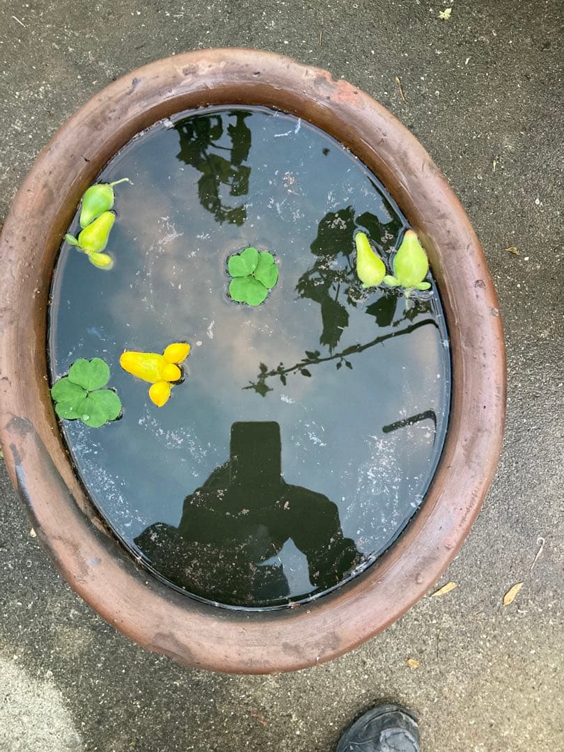 味わい深い 古い 大きな 陶器の甕 (かめ) 壺植木鉢 メダカの水鉢60センチ。