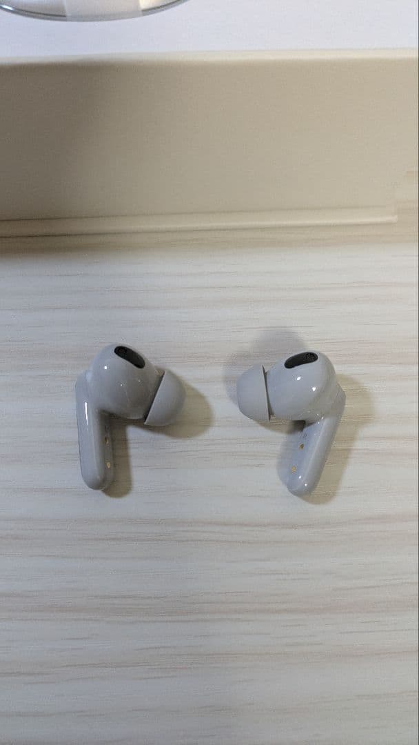 viaim RecDot ワイヤレスイヤホン