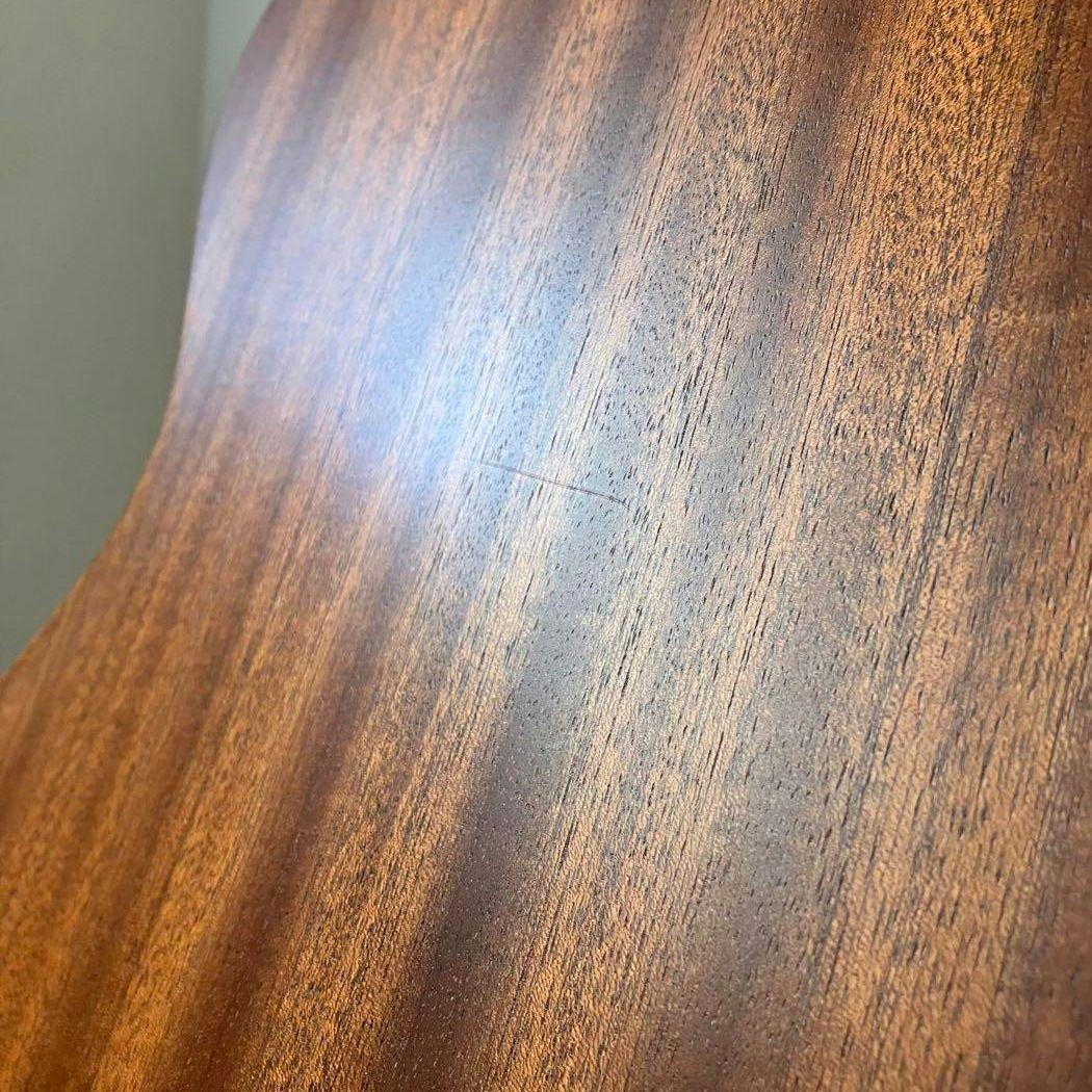 Taylor Academy 12e　テイラー【週末限定特価】