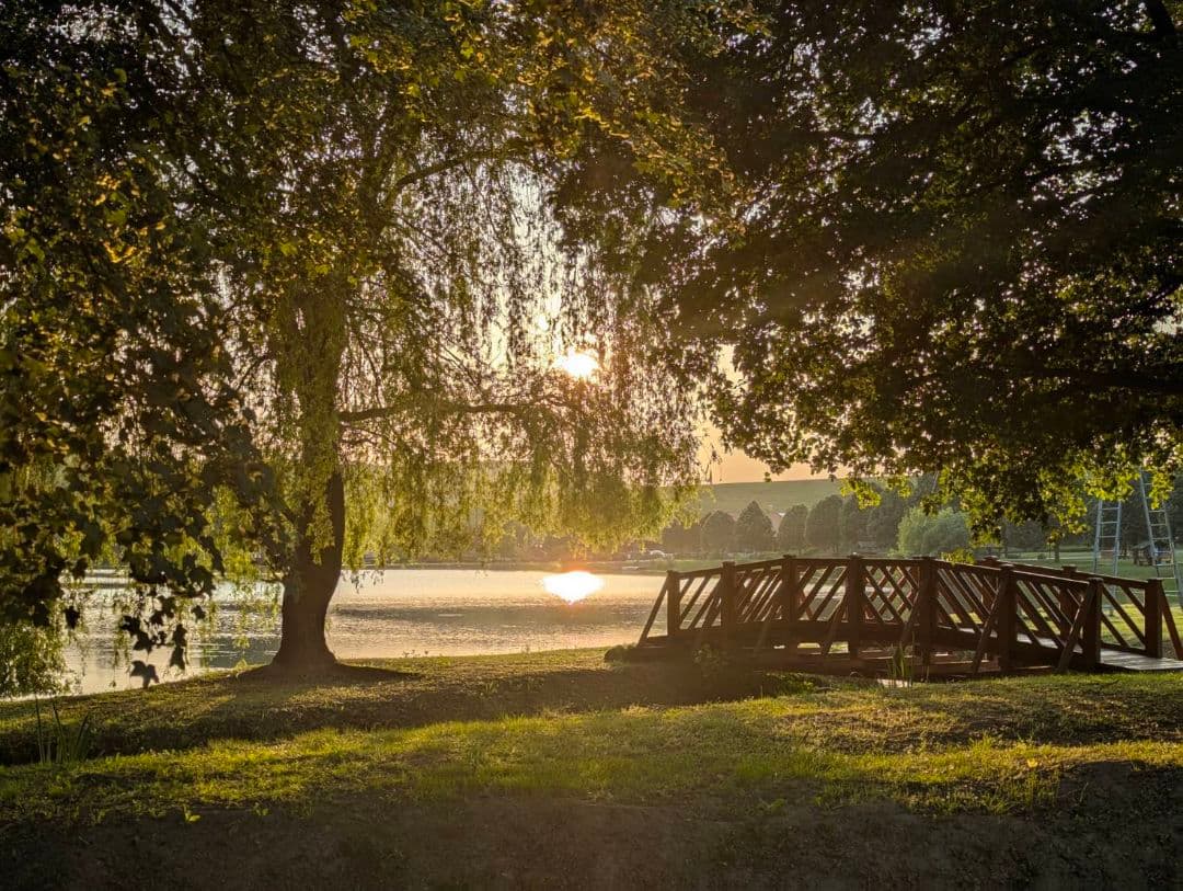 256GB Google Pixel 7 Pro ✨ カメラ最強 /SIMフリー