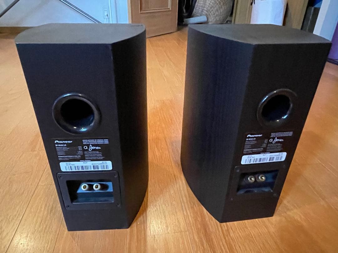 Pioneer SP-BS22-LR スピーカー
