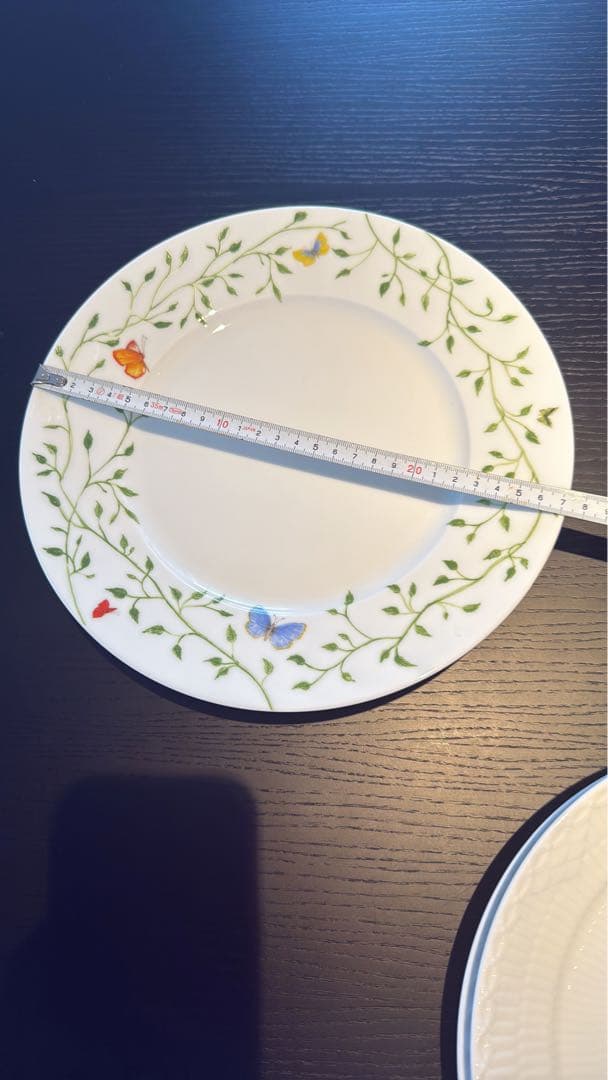 Raynaud ヒストリーナチュール　皿２枚セット