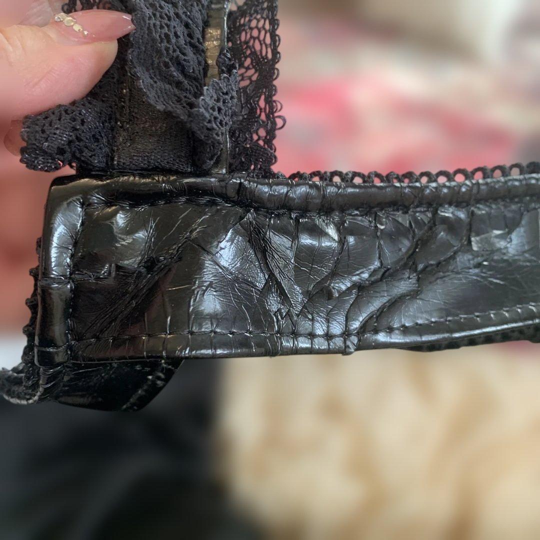 for pets only キャリーバッグ