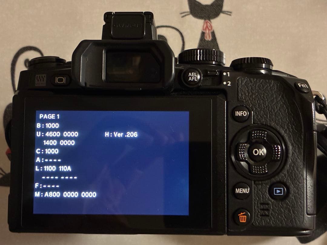 【美品】OLYMPUS OM-D E-M1ミラーレス一眼カメラ