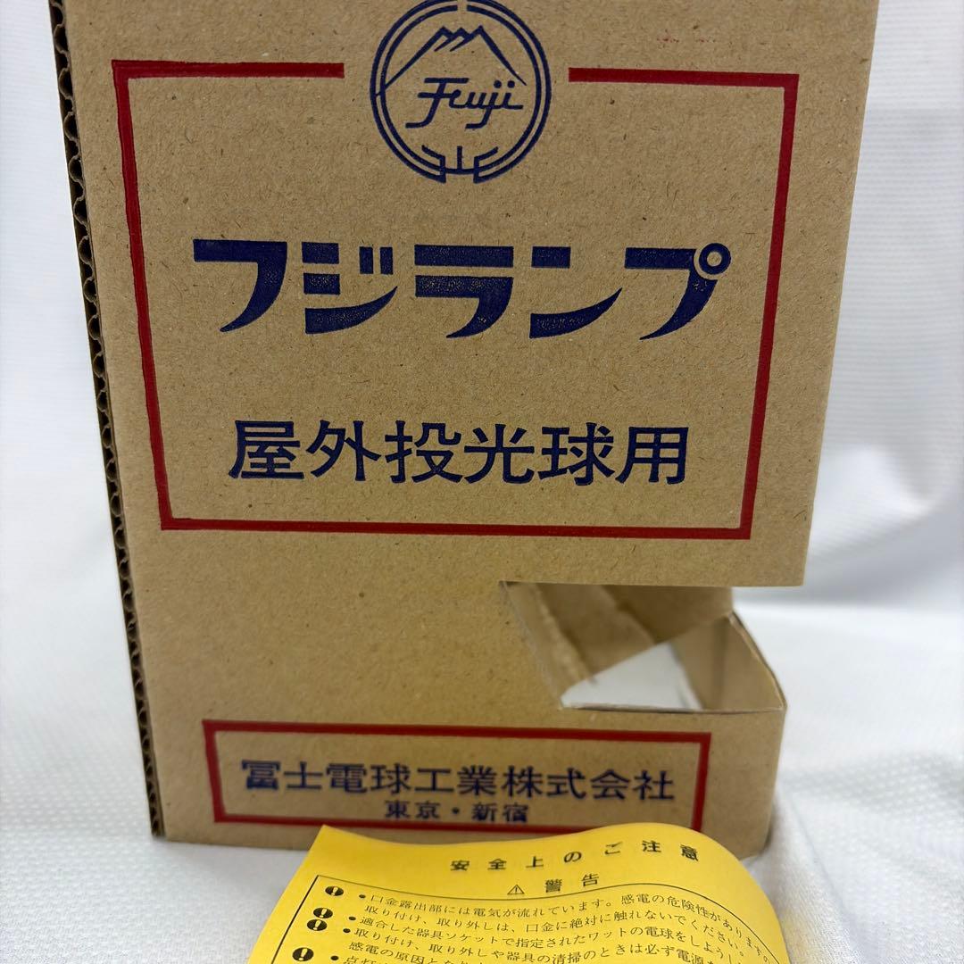 屋外投光球　RF110V100Wガラス電球 6個入り