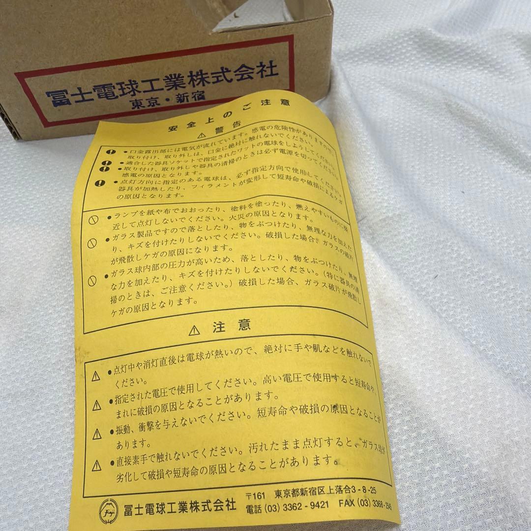 屋外投光球　RF110V100Wガラス電球 6個入り