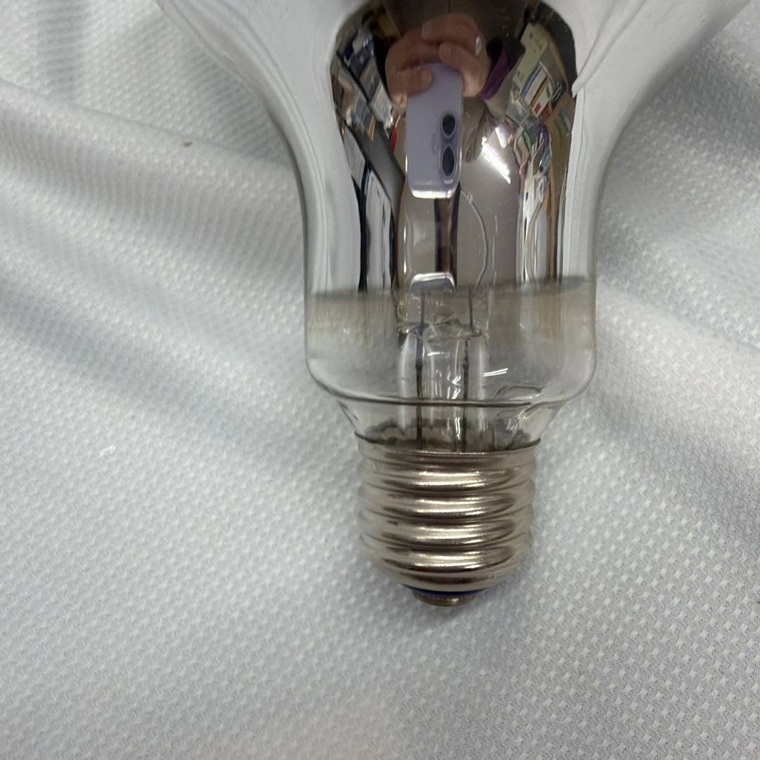 屋外投光球　RF110V100Wガラス電球 6個入り