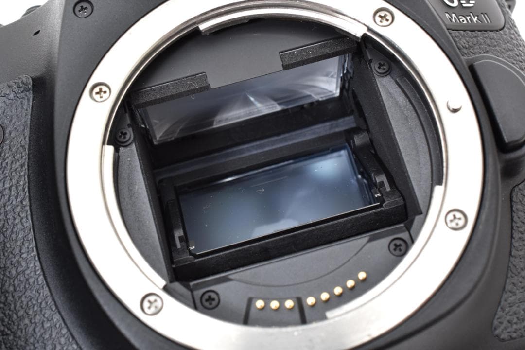 動確済 キャノン Canon EOS 6D Mark II #222
