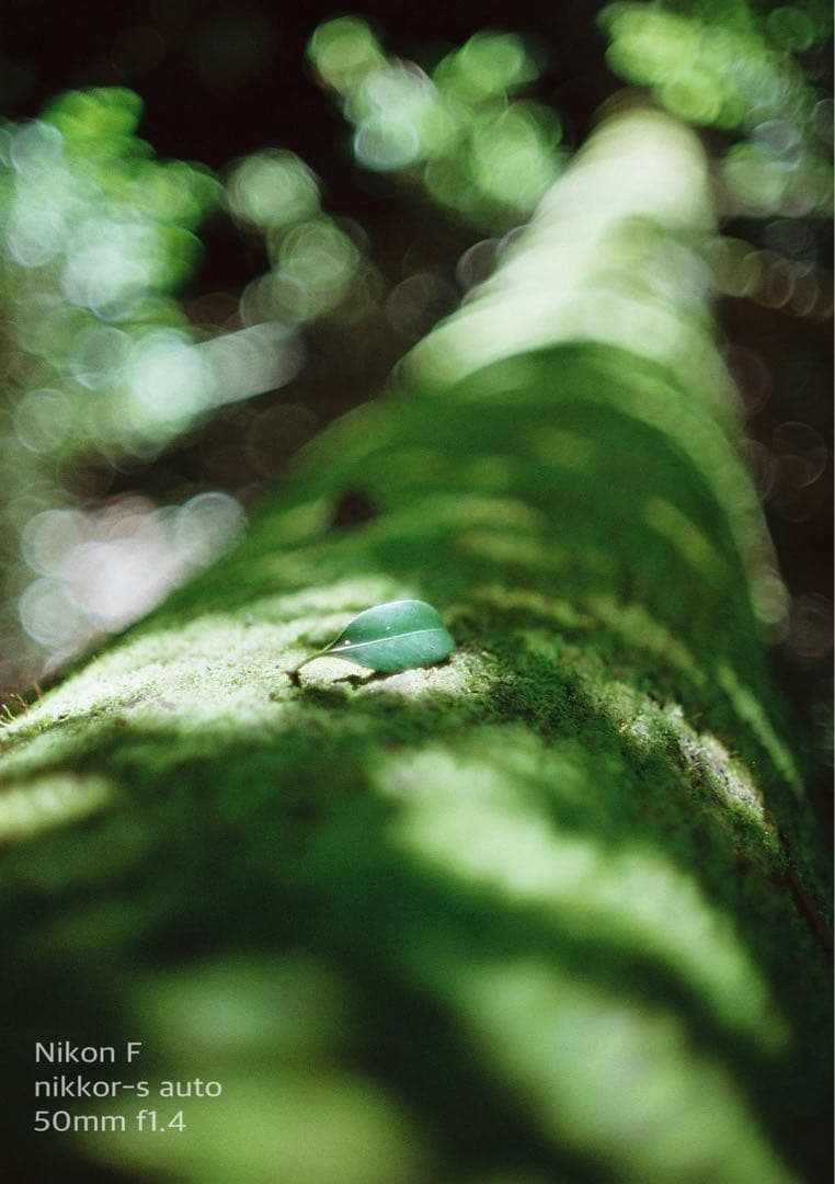 ★完動品＊美品★nikon f★f1.4レンズセット★動作確認済み＊作例多数