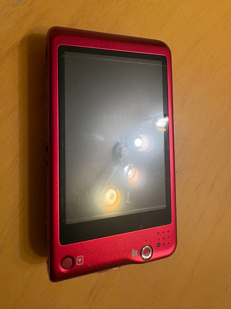 【美品】Panasonic LUMIX DMC-FX1 デジカメ ケース付き