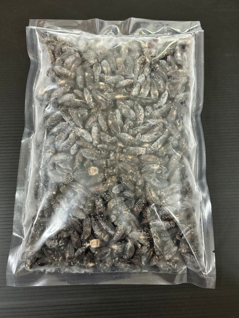 清潔コオロギ2.2kg 冷凍コオロギ　ＭＬサイズ　クロコオロギ　約2kg