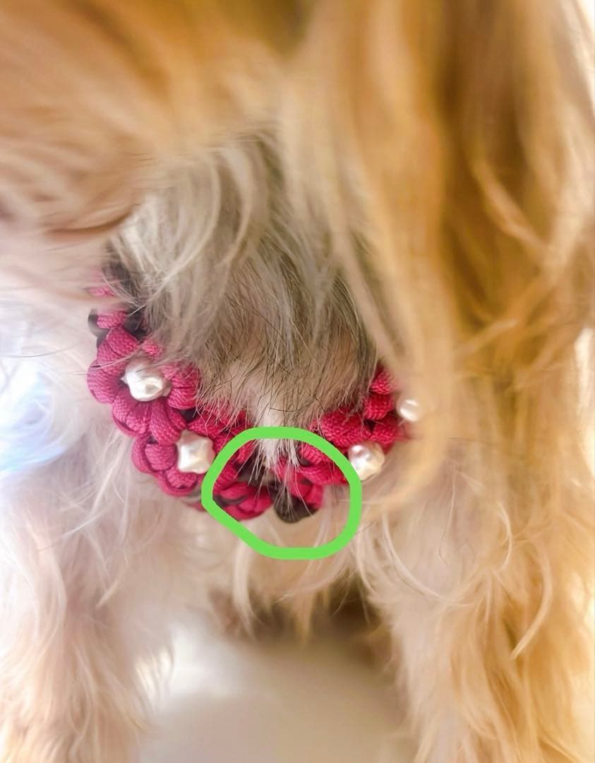 パラコード ハーネス 　オーダーページ