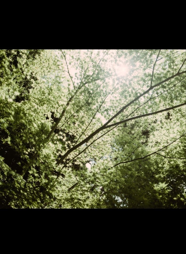 フィルムカメラ FUJICA GM670 65mm F8