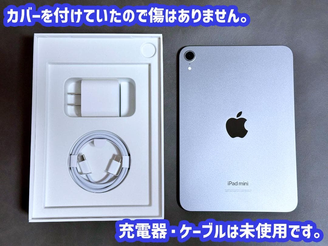 iPad mini A17 Pro Wi-Fi 256GB バッテリー100%