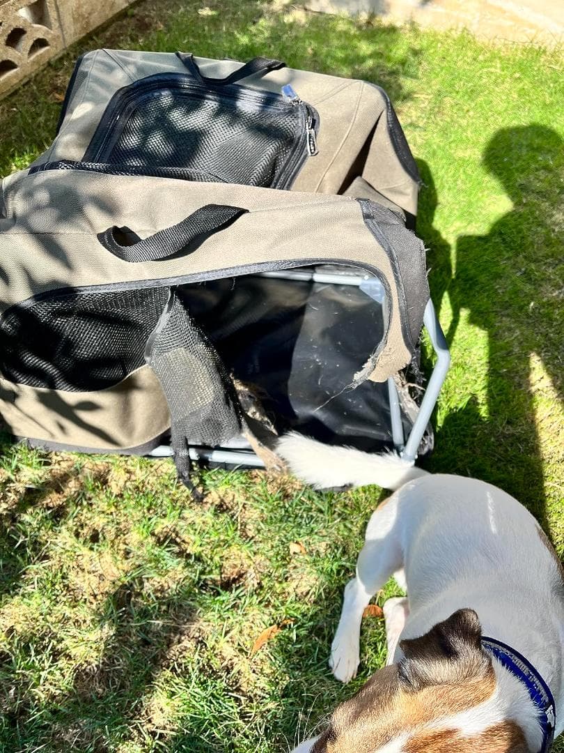 ペットハウス 折りたたみ ソフトクレート ポータブルケージ