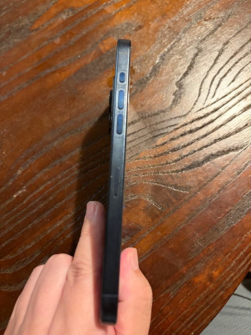 iPhone15 プロマックス アップル