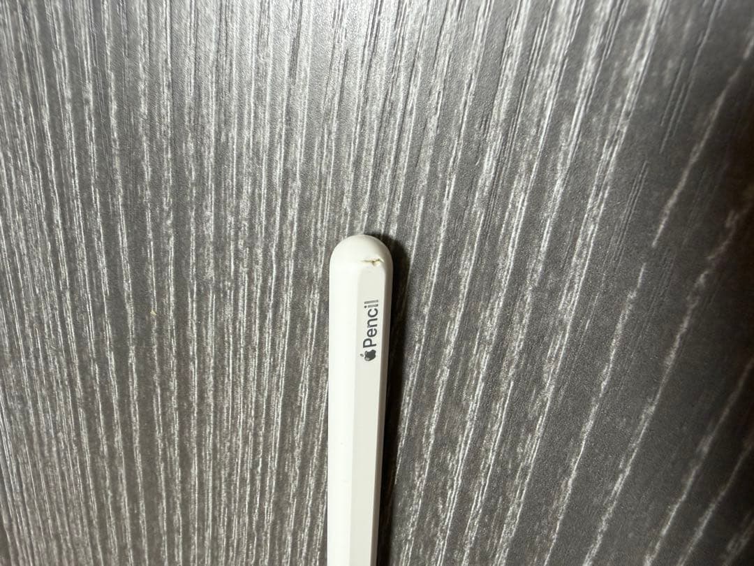 【未使用】iPad Pro 12.9 第5世代 Apple Pencil、ケース