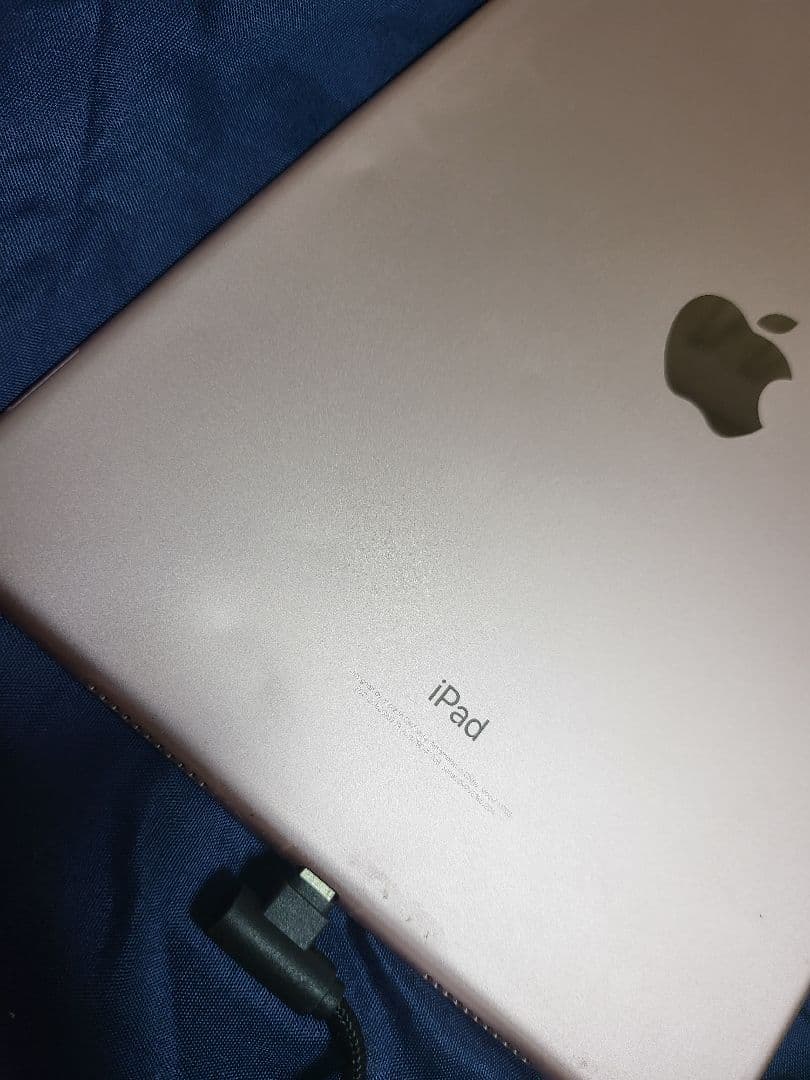 Apple iPad pro 10.5 ローズゴールド 本体