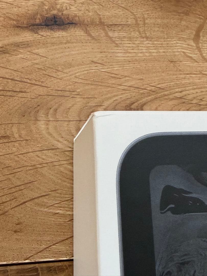 iPad Pro 11インチ 256GB (第1世代) MTXQ2J/A