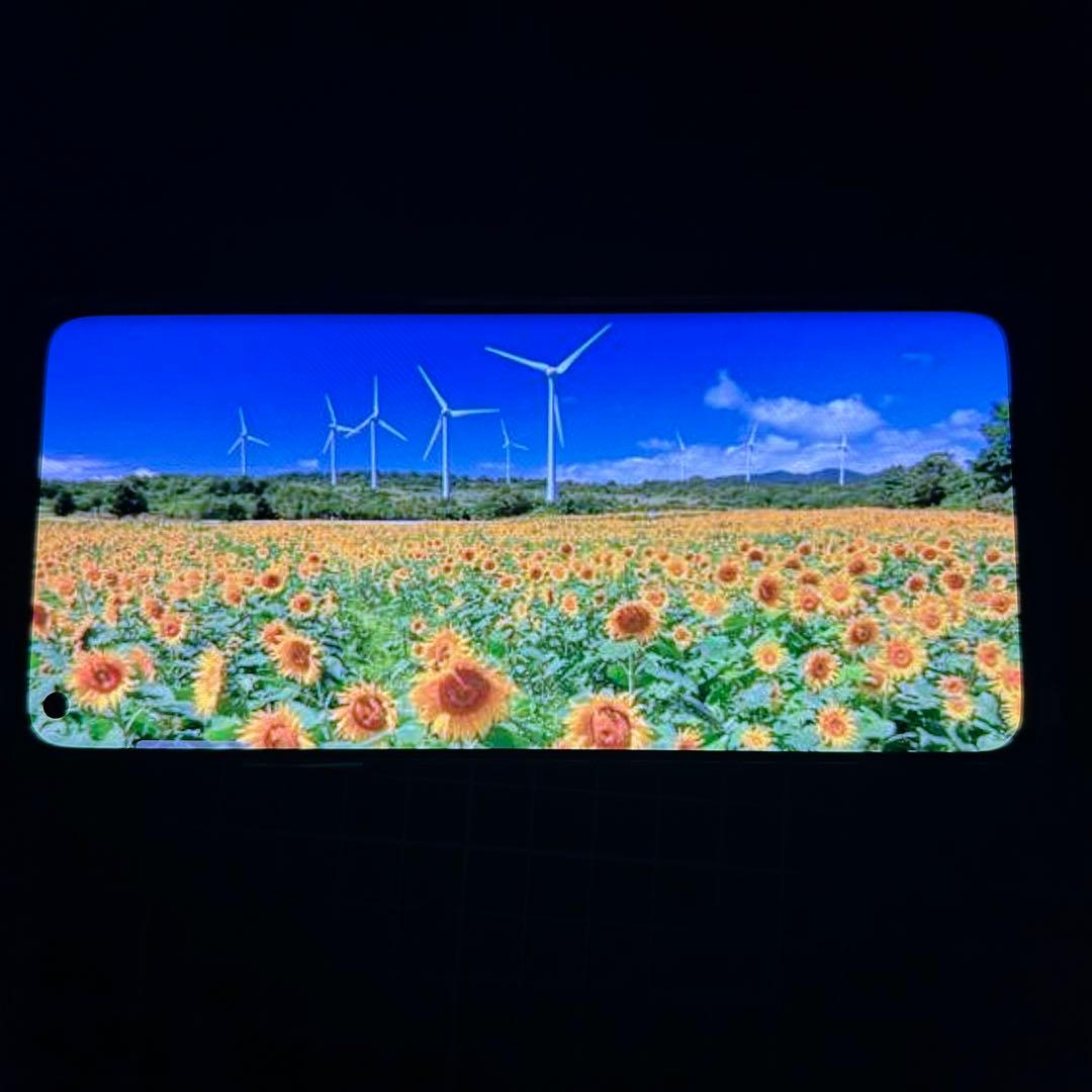 外装美品　oneplus 8 無印　ケース付