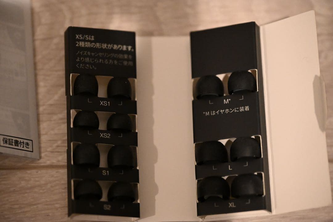 Technics AZ80 ワイヤレスイヤホン　も〜り〜