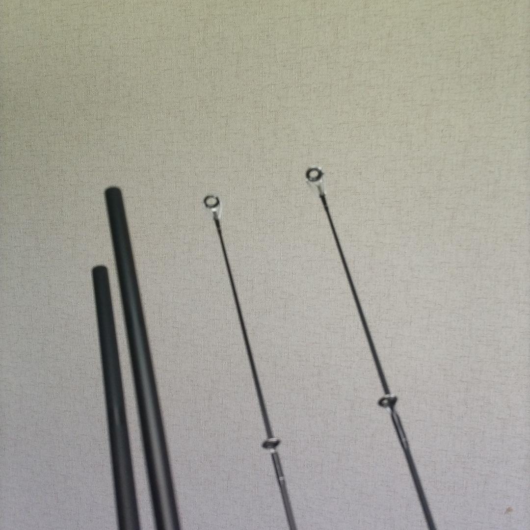 カープフィッシング　鯉釣り　2本セット